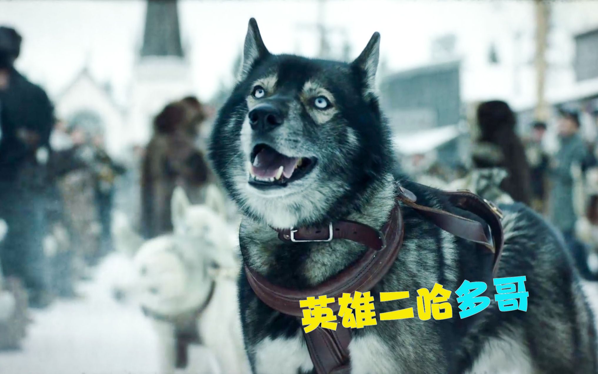 包含守护之师：门将英雄创造奇迹！的词条
