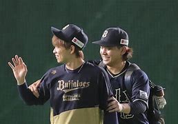 关于猛牛队实力迅速崭露头角，进步神速的信息