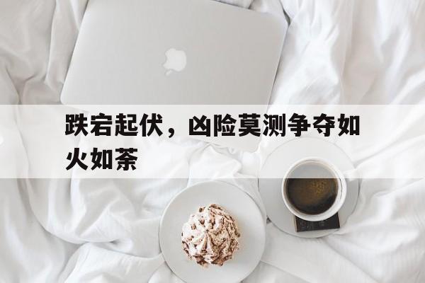 跌宕起伏，凶险莫测争夺如火如荼的简单介绍