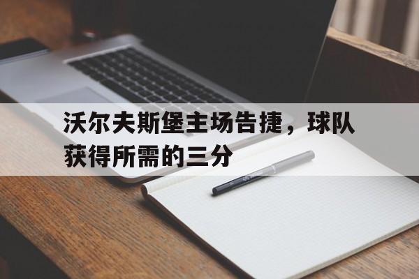 关于沃尔夫斯堡主场告捷，球队获得所需的三分的信息